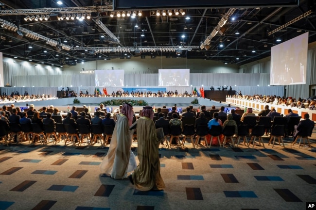 A general view of delegates attending the 2023 BRICS Summit in South Africa  BRICS Summit