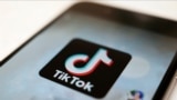 TikTok платформасы. 