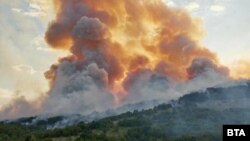 Пожарът в Стара Загора, 16.07