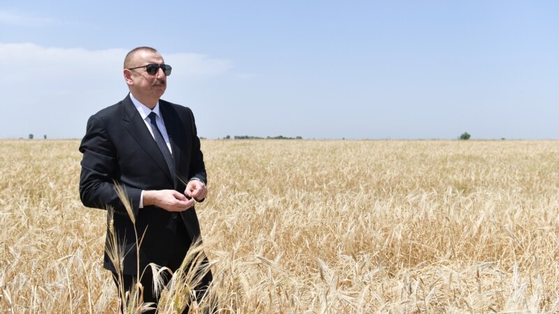 «Поддержка Вашего Превосходительства». В Азербайджане кандидаты восхваляют Ильхама Алиева