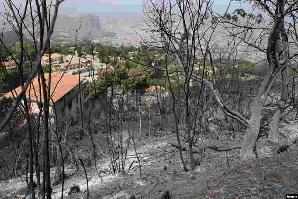 Izgorjela vegetacija nakon šumskog požara u sicilijanskom selu Romitelo, blizu Palerma, Italija, 25. juli.