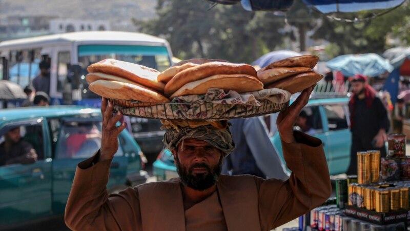 یو ان دی پی: از هر ده افغان ۷ نفر قادر به تامین نیازهای اولیه روزانۀ خود نیستند