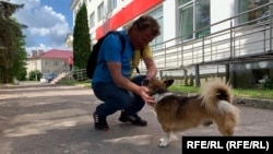 Сухоруков и уличный пес