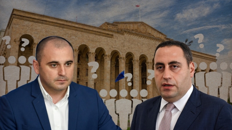 Грузинская оппозиция обретает себя во внутривидовой борьбе