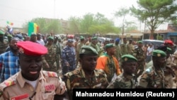 Полициски служби во Нигерија 