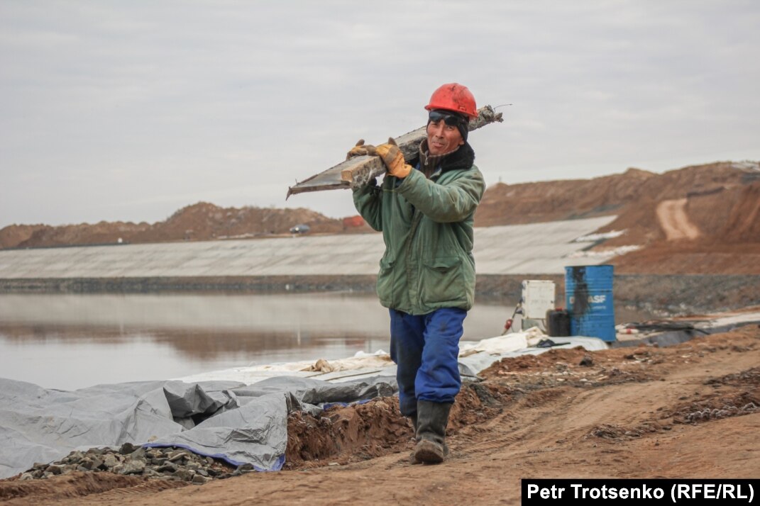 Шұңқыр Райли Рид өзінің қара досының шәуетін жақсы көреді