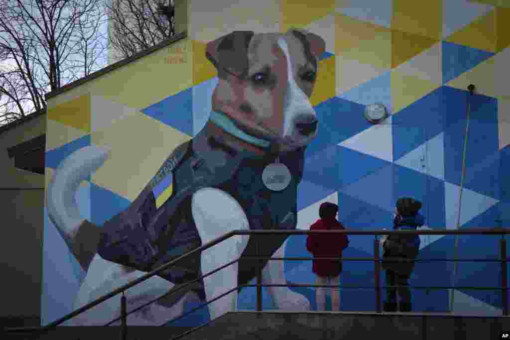Fëmijët duke shikuar një mural që përshkruan qenin e quajtur Patron, një qen gjurmues me një nuskë nga Shërbimi i Situatave Emergjente të Ukrainës, në Kiev, Ukrainë, 2 shkurt 2024. Patron, i lindur më 2019, u shpërblye me shumë çmime vendase dhe të huaja për punën e tij në gjetjen dhe çaktivizimin e municioneve të pashpërthyera të lëna pas nga trupat ruse. Në nëntor të vitit 2022, UNICEF-i e njohu Patronin si &quot;Ambasador i Vullnetit të Mirë&quot; në Ukrainë.&nbsp;