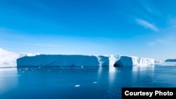 Айсберг в Антарктиде