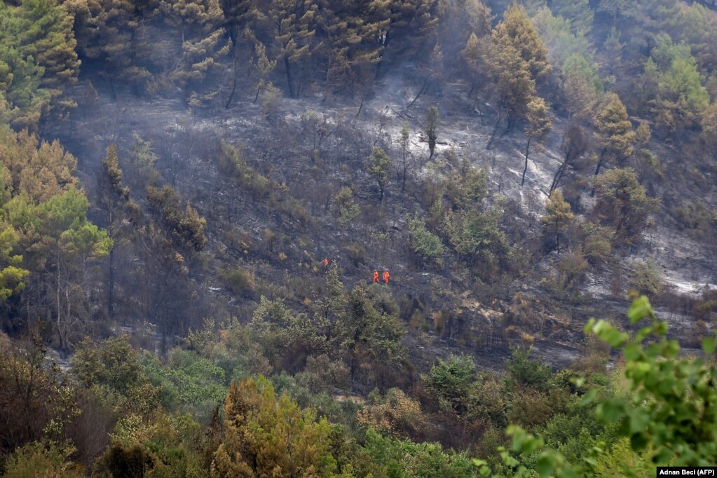 Pasojat e zjarreve në pyllin e fshatit Kraps.