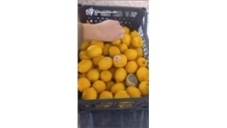 Командир разведроты о поставках протухшей воды и сгнивших продуктов.mp4