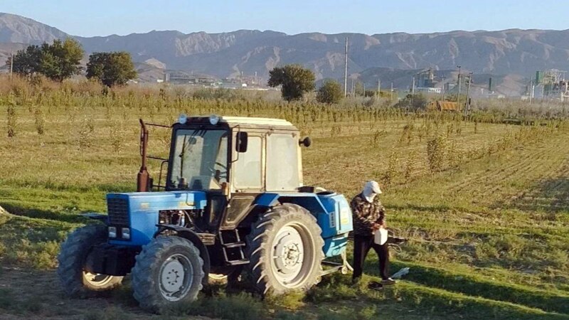 Balkanda güýzlük bugdaý ekişi gijikdirilýär, daýhanlar hasylyň pes bolmagyndan aladalanýar