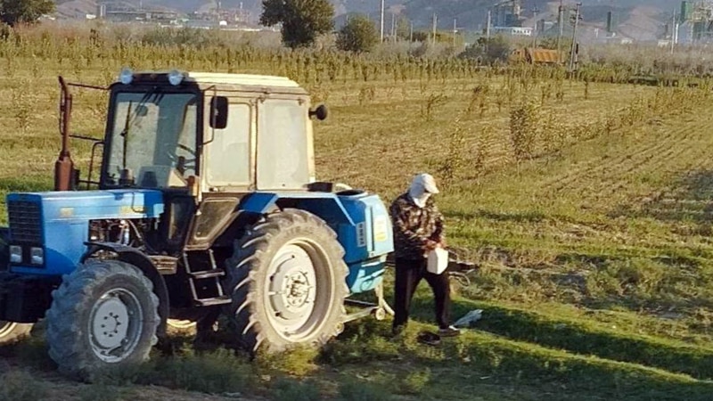 Lebapda we Daşoguzda suw ýetmezçiligi ýitileşýär. Muňa näme sebäp bolýar?