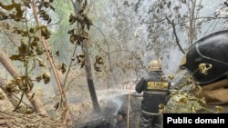 Тушение пожара в Абайской области