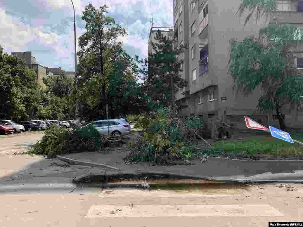 Širom Novog Sada su dan nakon olujnog nevremena bile vidljive posledice - polomljena stabla, saobraćajni znaci, oštećena vozila i zgrade.&nbsp;