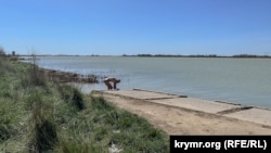 Мужчина собирает целебный ил в озере Мойнаки на территории бывшего детского санатория &laquo;Родина&raquo; в Евпатории.<br />
<br />
&nbsp;
