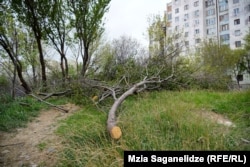 ტერიტორია, სადაც ანის ცხედარი იპოვეს. ფოტო გადაღებულია 2023 წლის 6 აპრილს, როცა სკვერში სარეაბილიტაციო სამუშაოები დაიწყეს