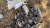 Уламок збитого російського дрона (архівне фото)