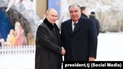 Эмомалӣ Раҳмон, раиси ҷумҳурии Тоҷикистон (рост) бо ҳамтои русаш Владимир Путин, Санкт-Петербург, 26-уми декабри 2023