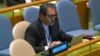 حیدرعلی بلوجی دیپلمات جمهوری اسلامی نیز به عنوان یکی از گزارشگران کمیته خلع سلاح و امنیت بین‌المللی مجمع عمومی سازمان ملل انتخاب شده است