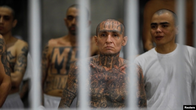 Осужденные боевики одной из самых опасных криминальных организаций Латинской Америки, сальвадорской банды "Мара Сальватруча" (или MS-13), в СECOT ("Центре содержания террористов"), во время визита туда Кристи Ноэм. Март 2025 года