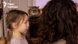 Чотирилапі з фронту: у Запоріжжі відкрили «кото–кафе» (відео)
