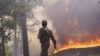 Лесной пожар в Казахстане