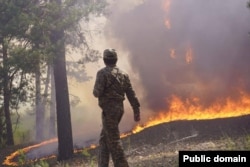 Лесной пожар в области Абай