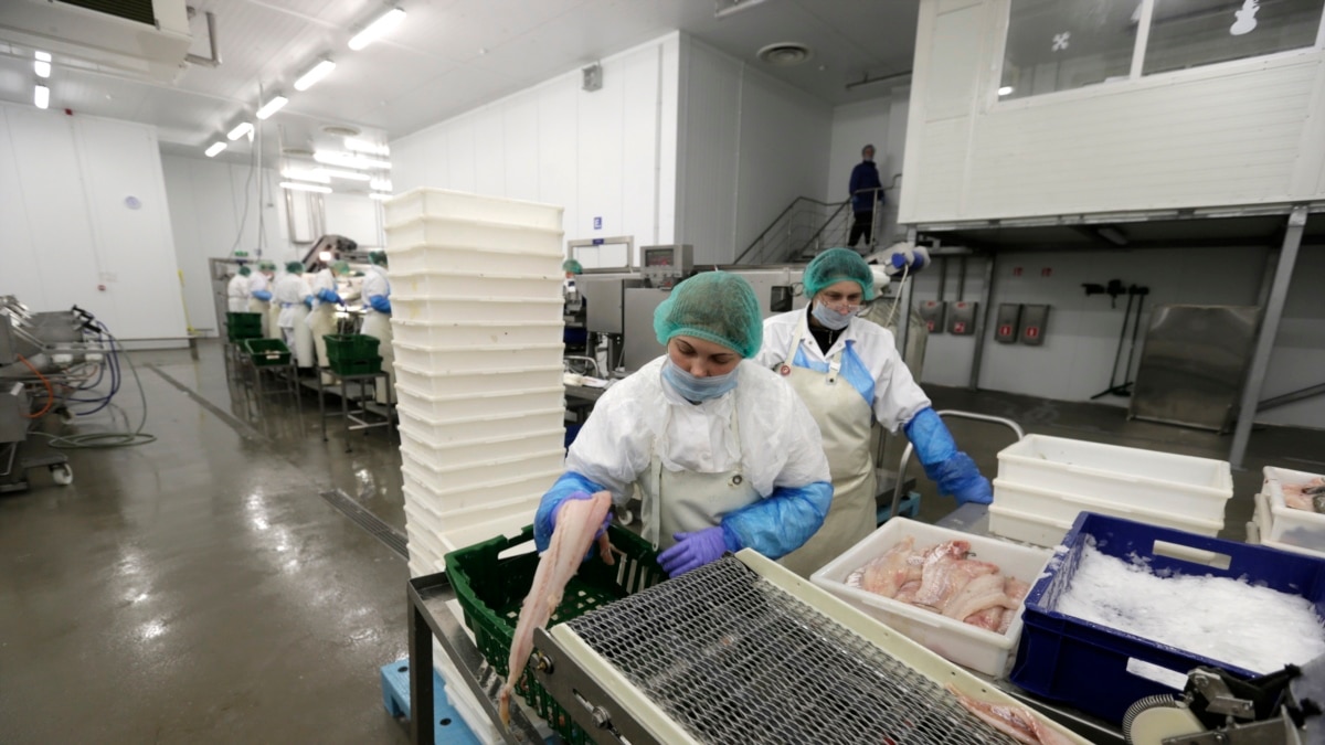 Russia bans fish products from “unfriendly countries”