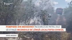 Incendiu de vegetație în Mehedinți