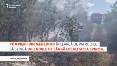 Incendiu de vegetație în Mehedinți