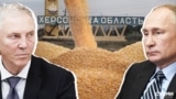 Володимир Сальдо і Володимир Путін на тлі вкраденого українського зерна (колаж)
