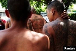 Арестованные боевики группировки MS-13 во время этапирования в тюрьму. Они были задержаны полицией во время частной вечеринки в сальвадорской столице Сан-Сальвадоре. 10 августа 2026 года