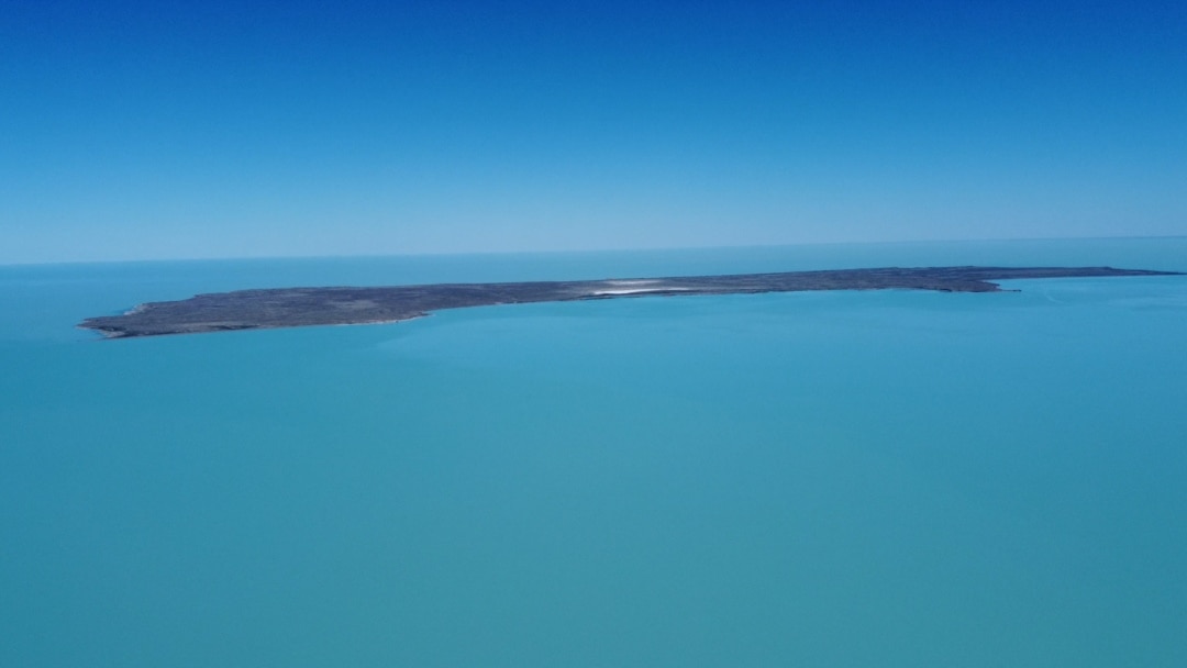 Бледанс жалаңаш