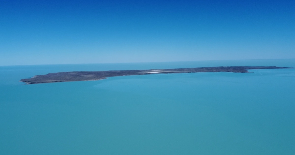 Атаның соратын бейнені қараңыз