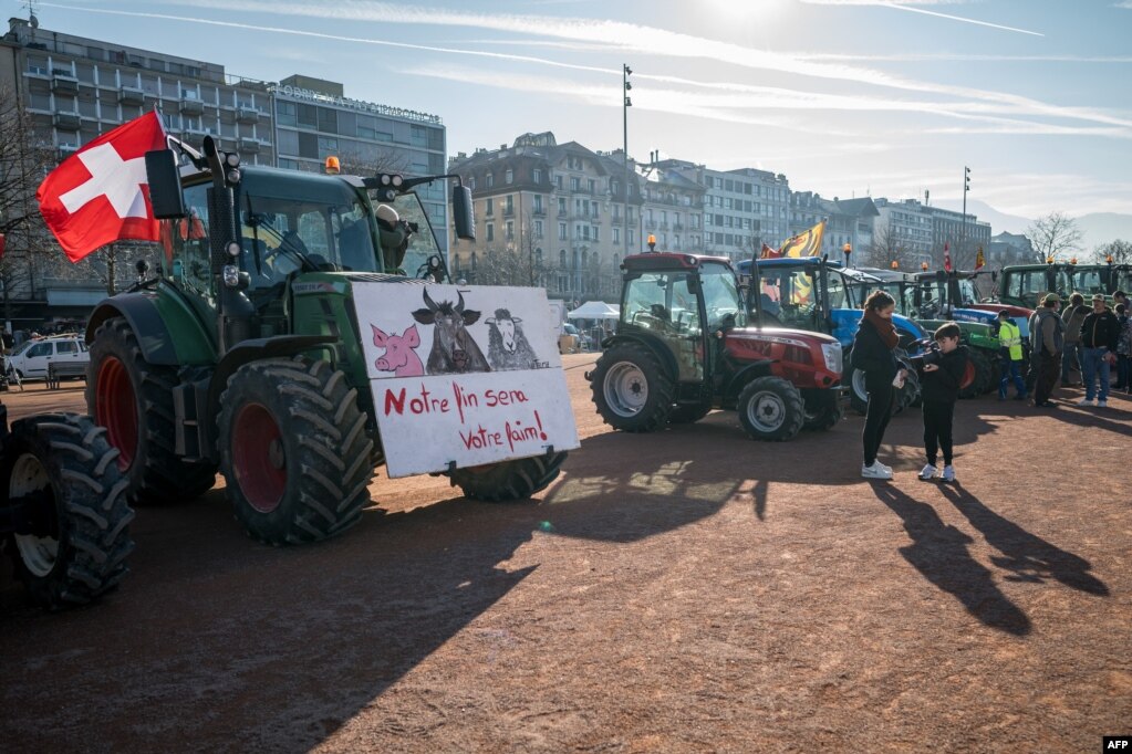 Fermerët zviceranë me traktorë, duke përfshirë një me flamurin zviceran dhe një pankartë me mbishkrimin &quot;Fundi ynë do të jetë uria juaj&quot;, marrin pjesë në një protestë në sheshin Plaine de Plainpalais, në qendër të Gjenevës, më 3 shkurt 2024.