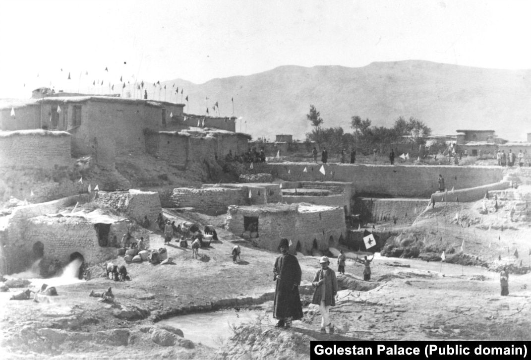 keksa ayolning mushukiga soch turmagi