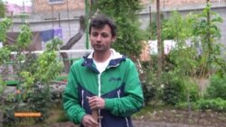 Муҳоҷирати кории тоҷикон ба Британия идома меёбад