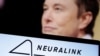 Ілан Маск з лога Neuralink