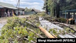 ლაგოდეხის მუნიციპალიტეტი