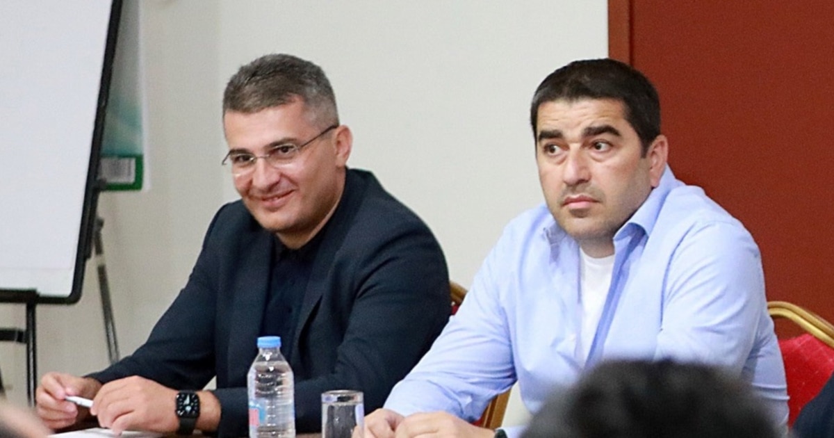 მდინარაძის წინა პოსტი უქმდება, დაანონსებული კი აღარ შეიქმნება