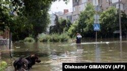 За даними Держслужби з надзвичайних ситуацій, станом на ранок 8 червня з підтоплених територій Херсонщини евакуювали 1995 людей, з яких 103 – діти