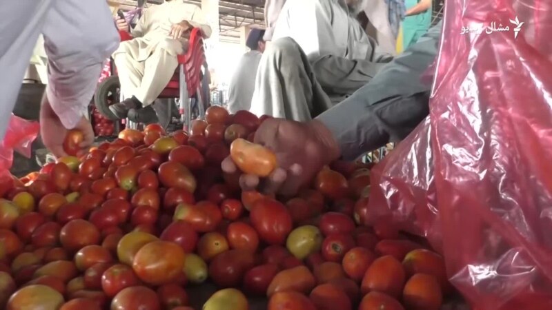 پاکستان کې د لوی اختر پر مهال د سبزیو نرخونه لوړ شوي دي