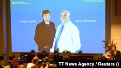 Katalin Kariko və Dryu Vaysman