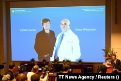 درو وایسمن (سمت راست) و کاتالین کاریکو، برندگان جایزه نوبل فیزیولوژی یا پزشکی ۲۰۲۳ در موسسه کارولینسکا در استکهلم سوئد، ۱۰ مهر ۱۴۰۲