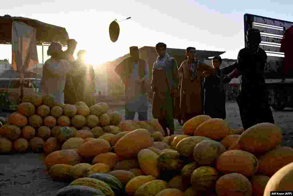 Disa burra duke shitur pjepra në një treg frutash në Mazari Sharif, Afganistan, më 24 korrik.