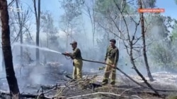 В Абайской области продолжаются лесные пожары. Сообщается о пропаже без вести местного жителя