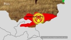 Кыргызстан аркылуу Европага кирген беларус жыгачы