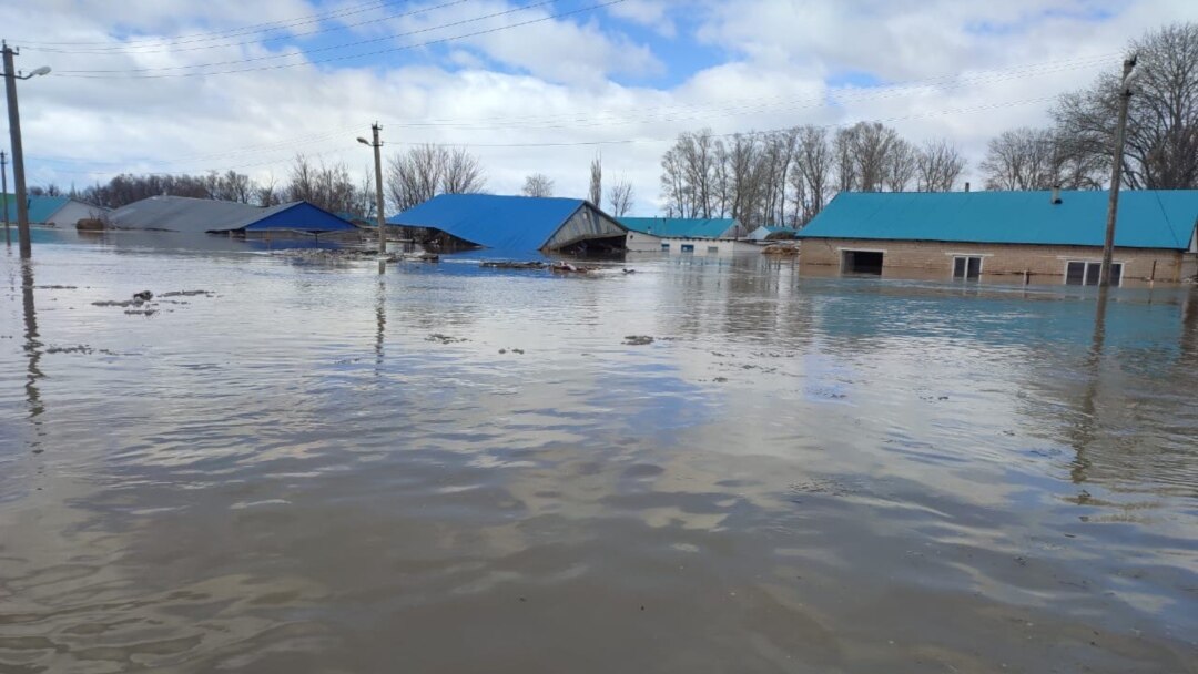Марина Данилова жетілген жалаңаш