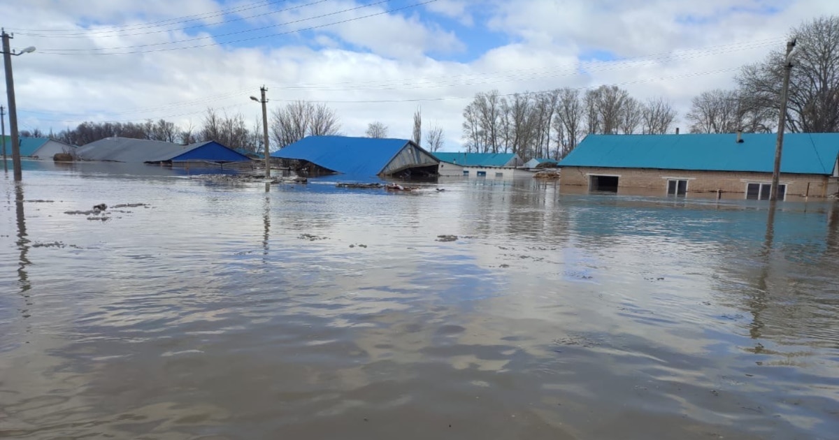 Тауықтың бөксесі лас