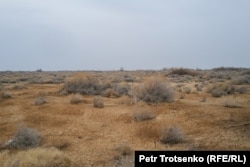 Полупустыня в окрестностях города Жаркента, область Жетысу. 21 марта 2024 года